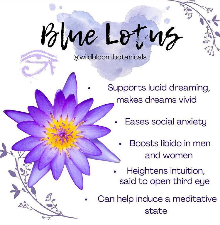 Wild Bloom Botanicals ~ Blue Lotus Tincture – Glow Juicery
