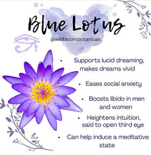 Load image into Gallery viewer, Wild Bloom Botanicals ~ Blue Lotus Tincture